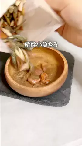 キウイ🥝のTikTok投稿