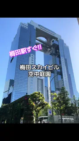 ☘️えりんこ☘️👽のTikTok投稿