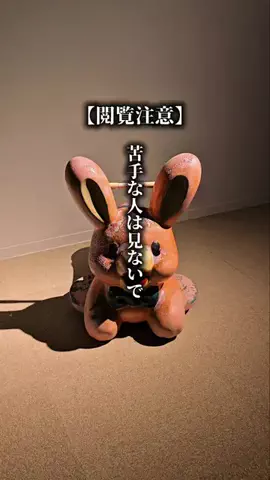 わら旅夫婦のTikTok投稿