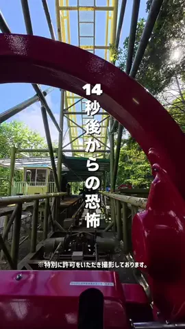 てるしょこ|北海道お出かけする夫婦のTikTok投稿
