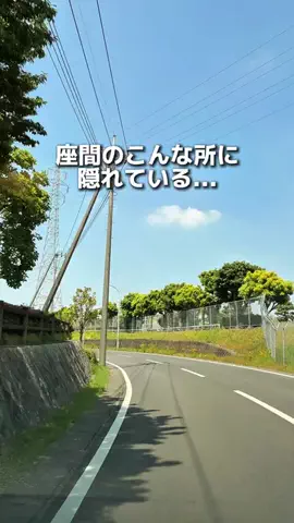 えびなびのTikTok投稿