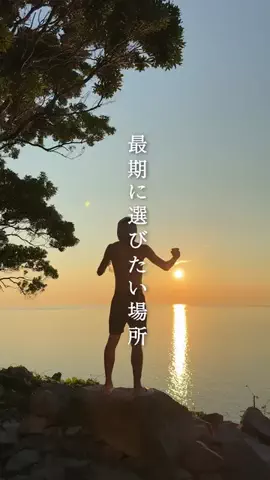 Shogo |28歳 旅と仕事のある暮らしのTikTok投稿