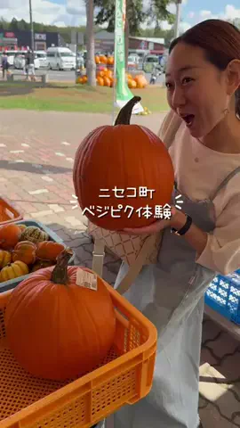 北海道といえばえりちゃんグルメのTikTok投稿