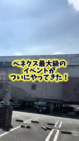 FUWA🔴のTikTok投稿