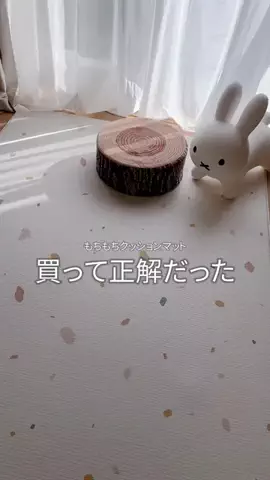 ____ 兵庫のおかん🦖のTikTok投稿