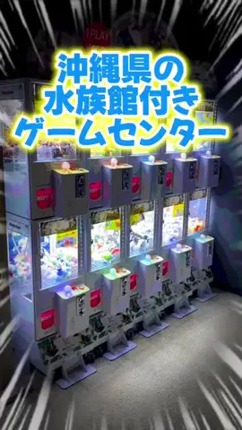 おろろろてんちょーのTikTok投稿