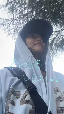 こむぎはだのTikTok投稿
