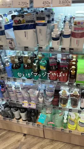 髪サランねきのTikTok投稿