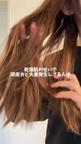 髪サランねきのTikTok投稿