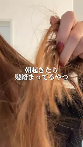 髪サランねきのTikTok投稿