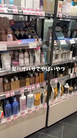 髪サランねきのTikTok投稿