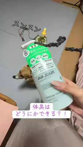 はるくんとみらい∞ちゃん🐶🐾のTikTok投稿