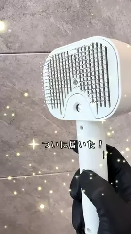 グリのTikTok投稿