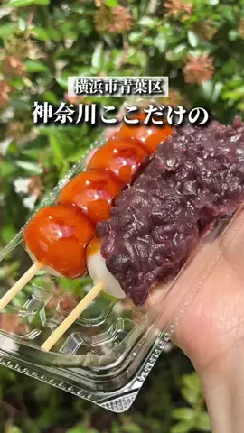 あじんころ||横浜北部周辺ガイドのTikTok投稿