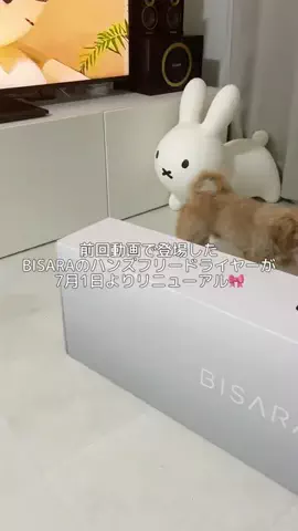 まいちゃん🐰🤍のTikTok投稿