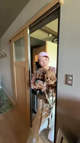 ゆか🐶のTikTok投稿