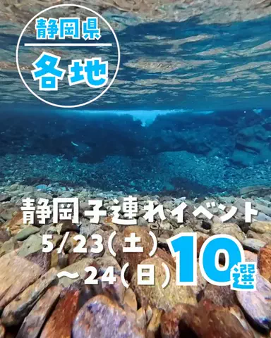 うみねこ　静岡発子連れおでかけ情報のTikTok投稿