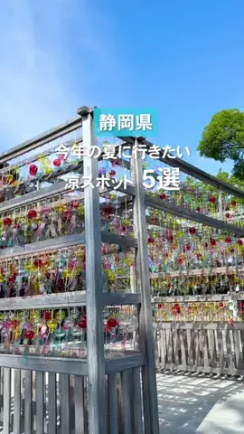 うみねこ　静岡発子連れおでかけ情報のTikTok投稿