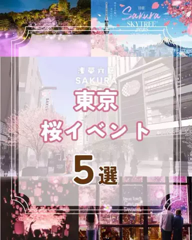 TrendSnap｜トレンドスナップのTikTok投稿