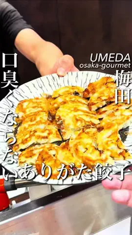 大阪グルメ【関西グルメ】のTikTok投稿
