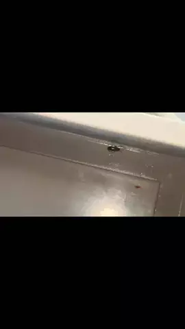 スーパー三越屋のTikTok投稿