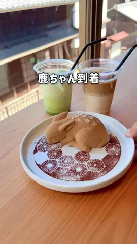ゆーた 広島グルメ・観光のTikTok投稿