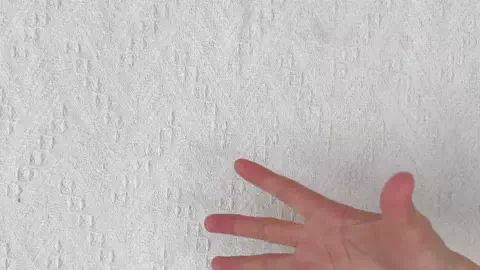 モグモグリスコのTikTok投稿