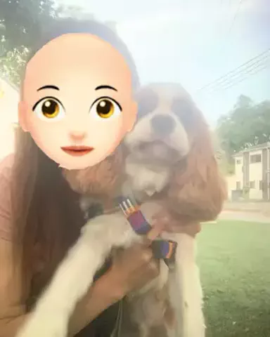 あちきのTikTok投稿