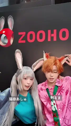🐈猫田あしゅ🐾のTikTok投稿