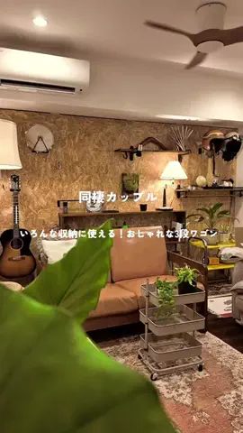 ろぐ⌇多趣味な新婚夫婦🧒🏻👨🏻‍🦱のTikTok投稿