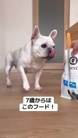 はなちゃん 🐖のTikTok投稿