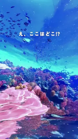マカロニ【公式】macaroniのTikTok投稿