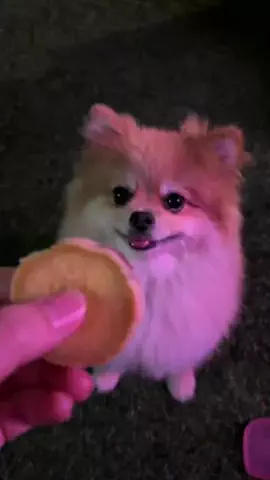 zzz.ponz💤🍊のTikTok投稿