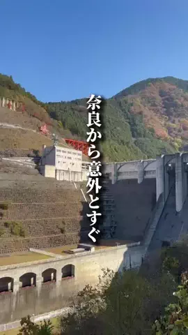 奈良グルメ／NARA SELECTのTikTok投稿