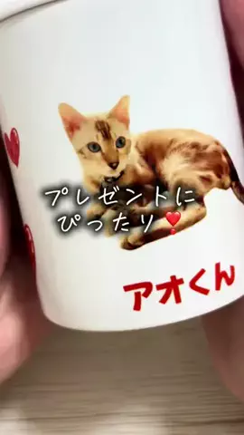 りん【楽しいコト大好きESFJ】のTikTok PR投稿：世界に一つだけのオリジナルマグ✨️ プレゼント🎁にも…