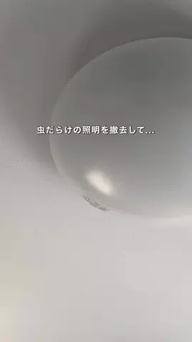 まい⌇ずぼらのアイテム紹介のTikTok投稿
