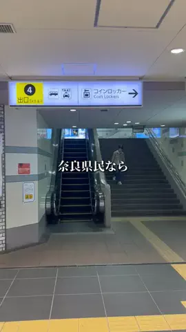 奈良グルメ／NARA SELECTのTikTok投稿
