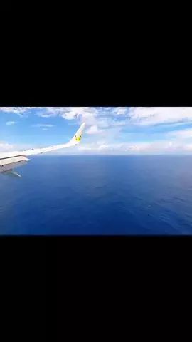 C-JayのTikTok投稿