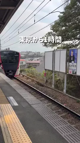 りな✈︎東京ママ✈︎子連れガイドのTikTok投稿