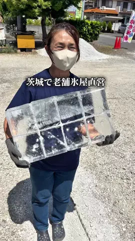茨城グルメのTikTok投稿