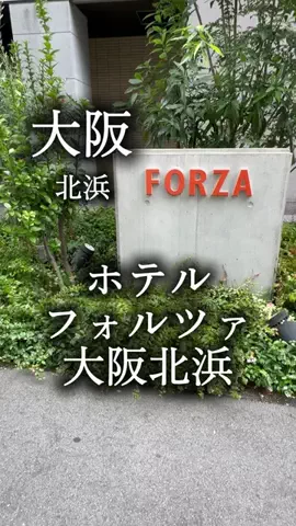アルコールのひとのTikTok投稿