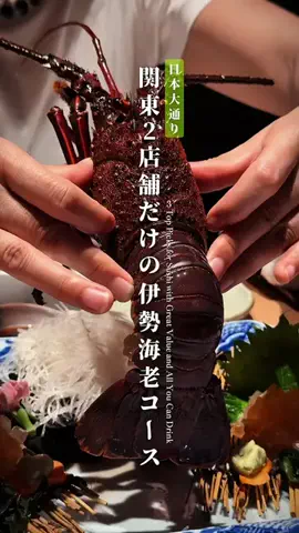 めしと酒とセッツのTikTok投稿