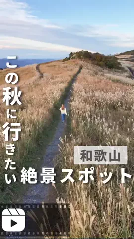 tabitoko_kansaiのTikTok投稿