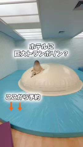 しー：0歳2歳の姉妹とお出かけのTikTok投稿