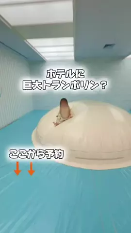 しー：0歳2歳の姉妹とお出かけのTikTok投稿