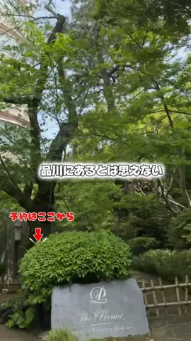 しー：0歳2歳の姉妹とお出かけのTikTok投稿
