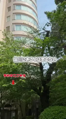 しー：0歳2歳の姉妹とお出かけのTikTok投稿
