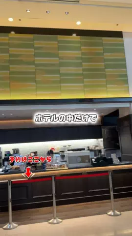 しー：0歳2歳の姉妹とお出かけのTikTok投稿