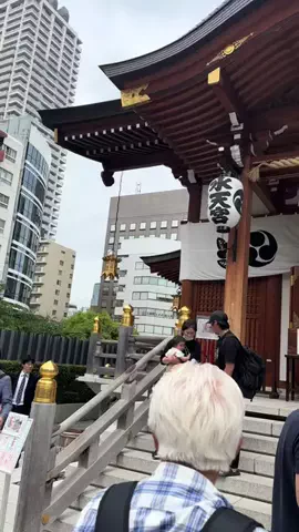 しー：0歳2歳の姉妹とお出かけのTikTok投稿