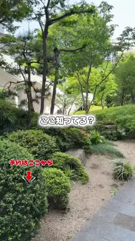 しー：0歳2歳の姉妹とお出かけのTikTok投稿